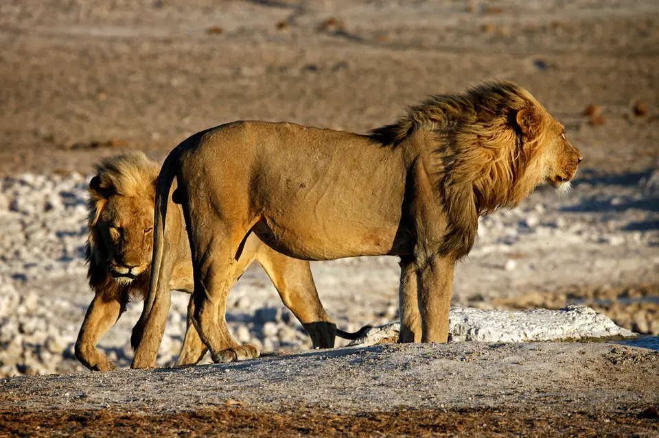 Namibia_10_20150667.jpg