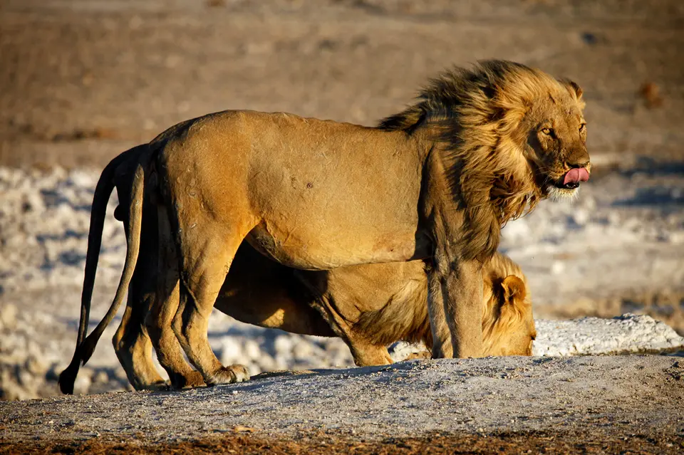 Namibia_10_20150668.jpg