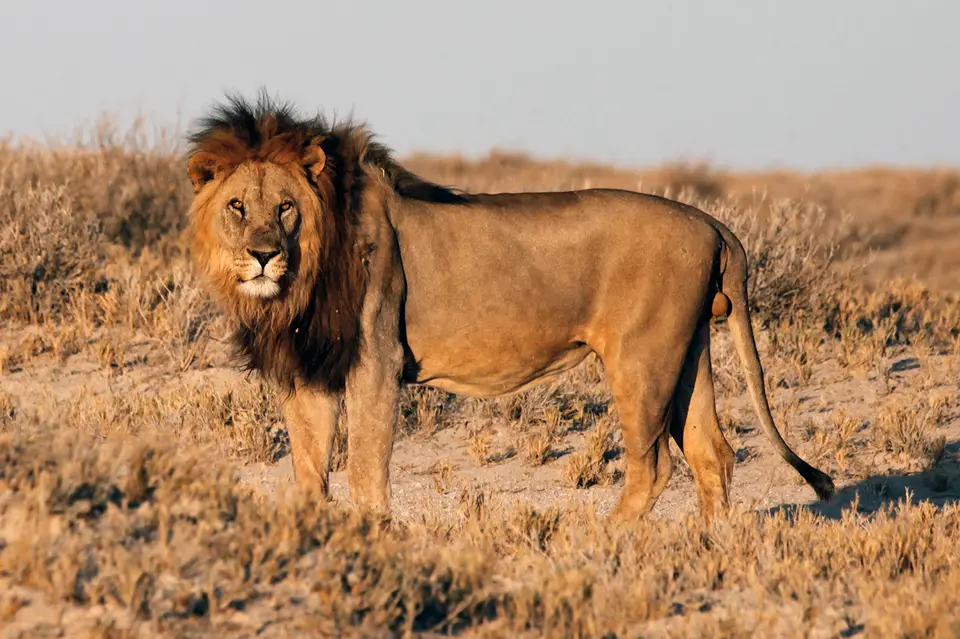 Namibia_10_20150671.jpg