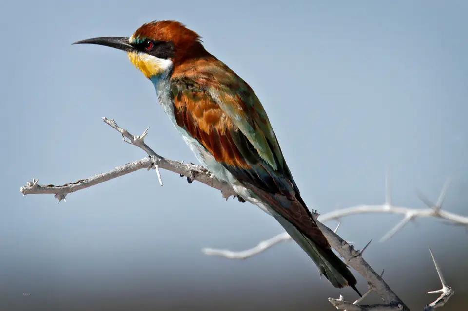 Namibia_10_20150699.jpg