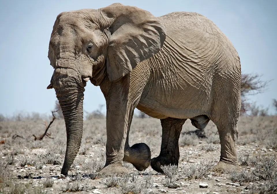 Namibia_10_20150707.jpg