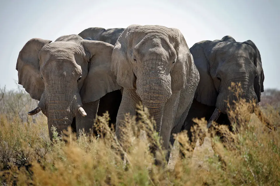 Namibia_10_20150708.jpg