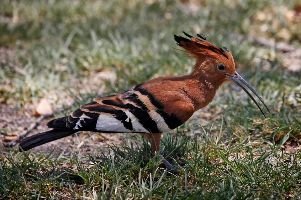 Namibia_10_20150711.jpg