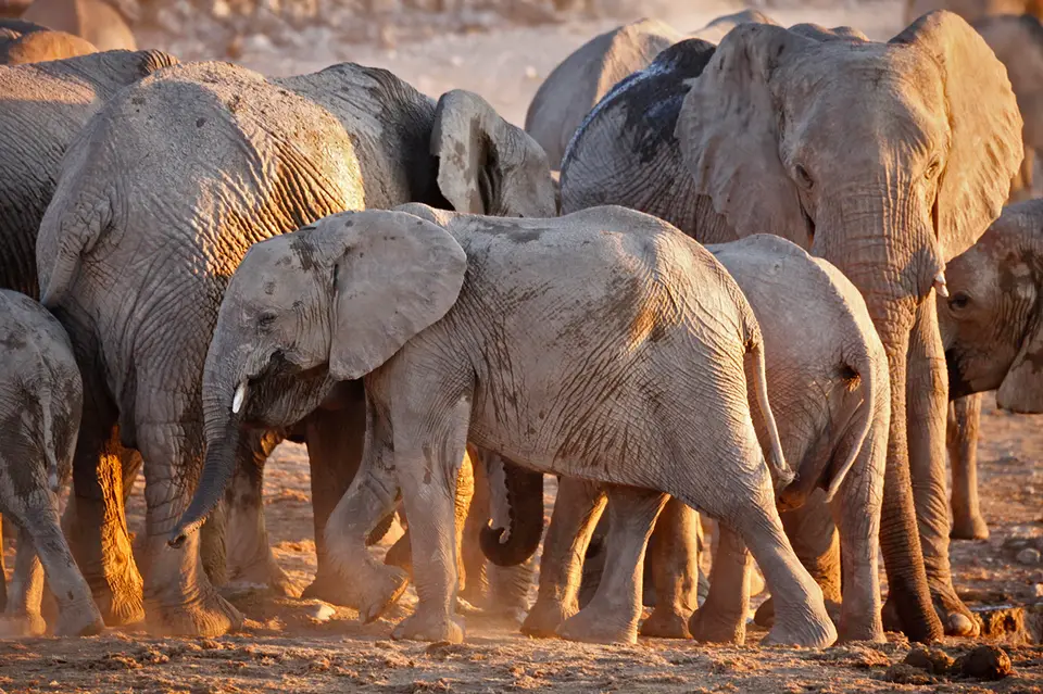 Namibia_10_20150719.jpg