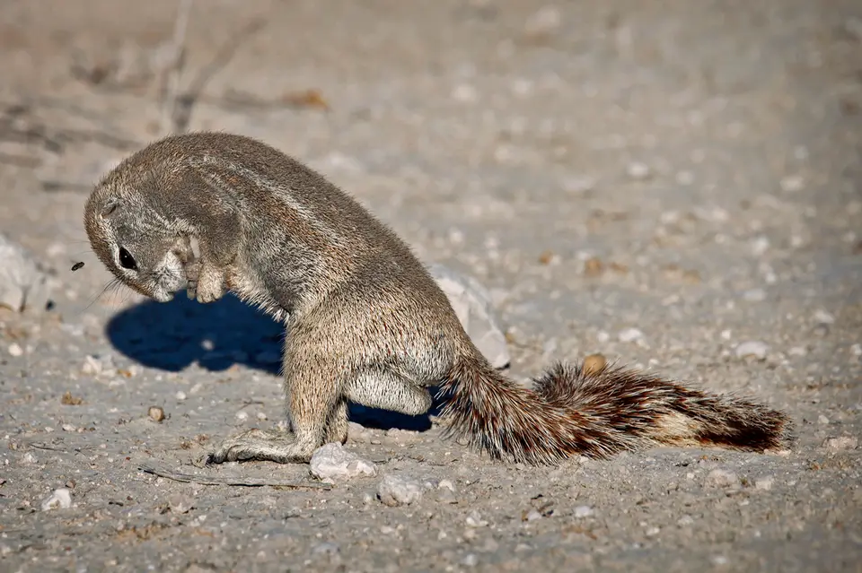 Namibia_10_20150725.jpg