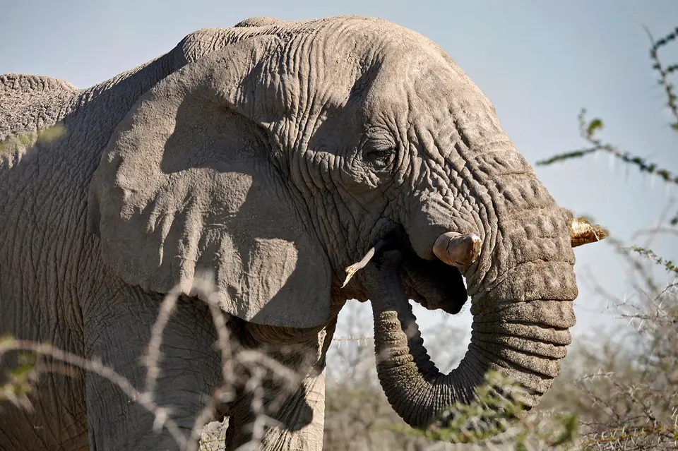 Namibia_10_20150727.jpg