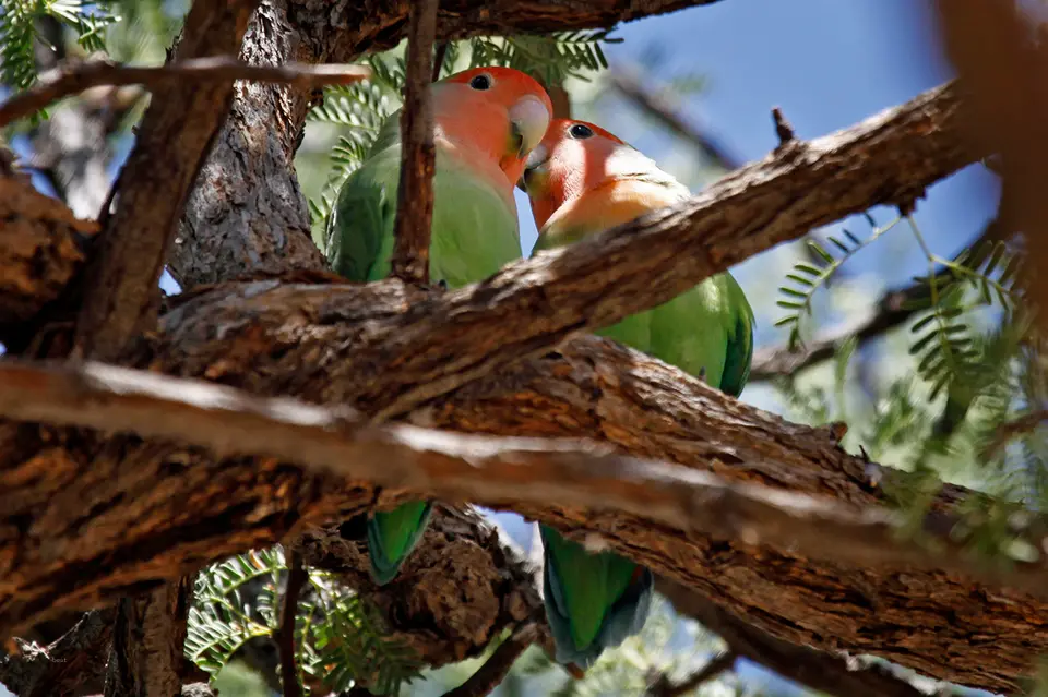 Namibia_10_20150730.jpg