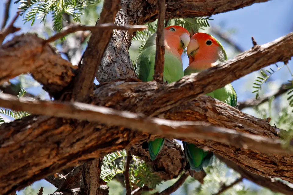 Namibia_10_20150731.jpg