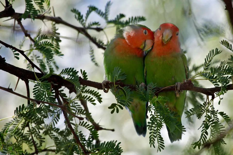 Namibia_10_20150733.jpg
