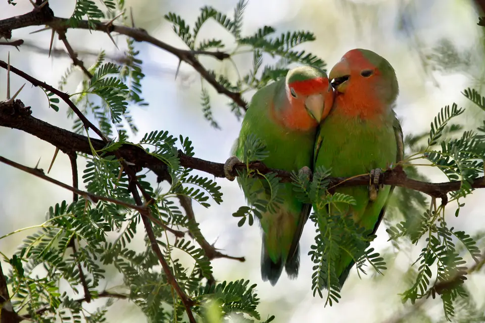 Namibia_10_20150735.jpg