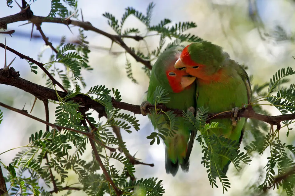 Namibia_10_20150736.jpg