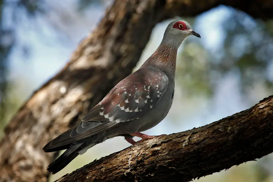 Namibia_10_20150758.jpg