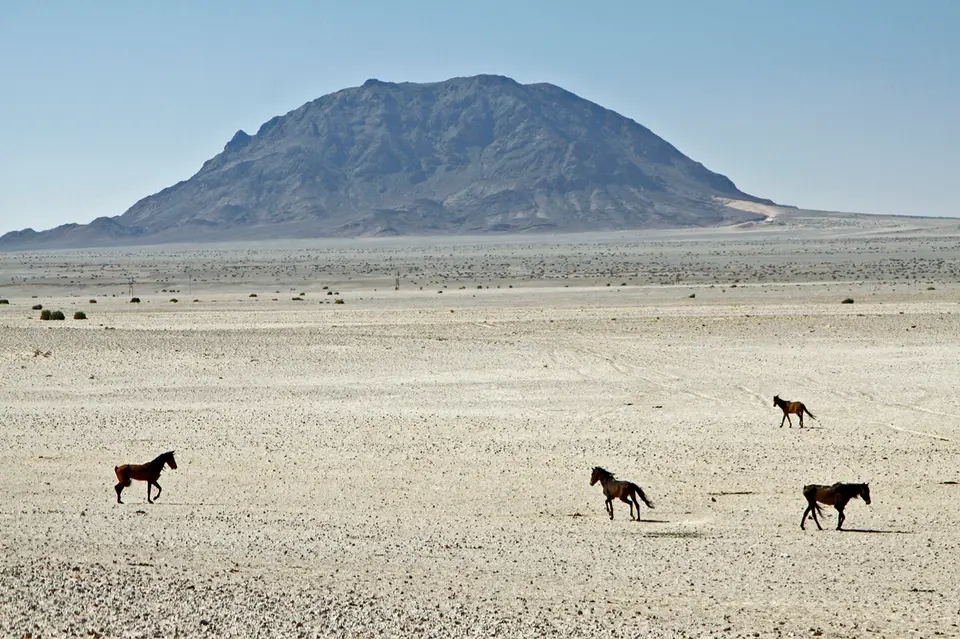 Namibia_10_20150763.jpg