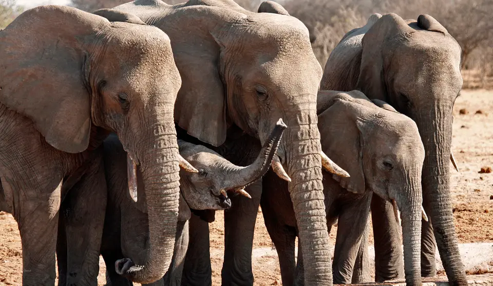 Namibia_10_20150816.jpg