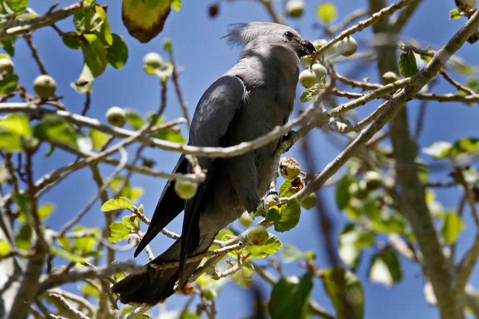 Namibia_10_20150821.jpg