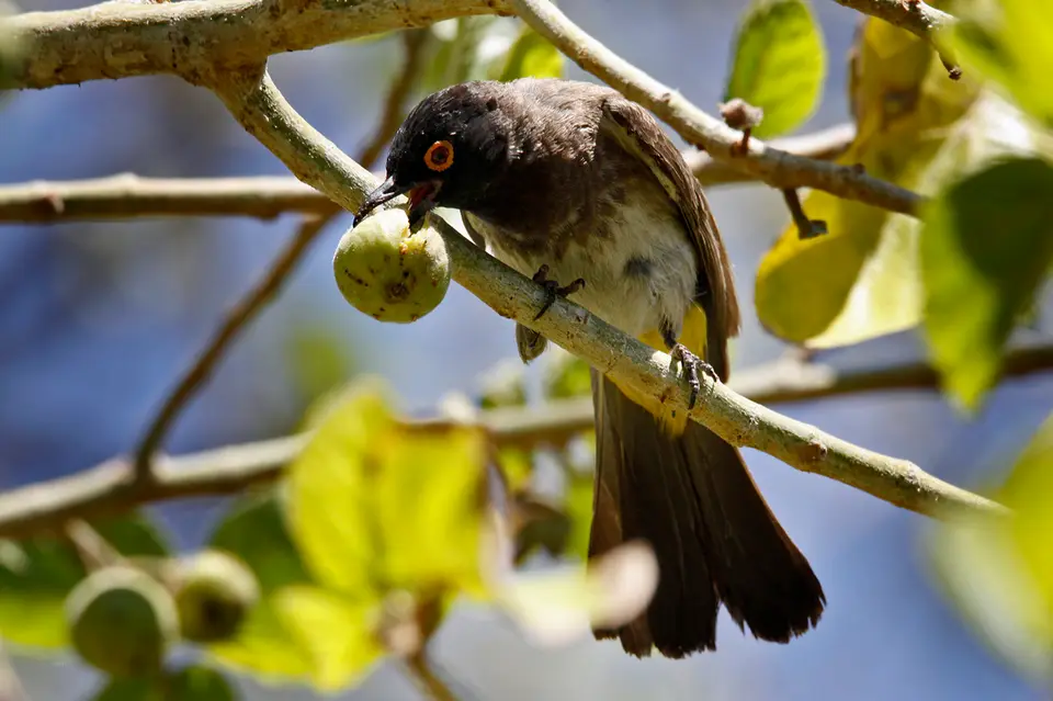 Namibia_10_20150825.jpg