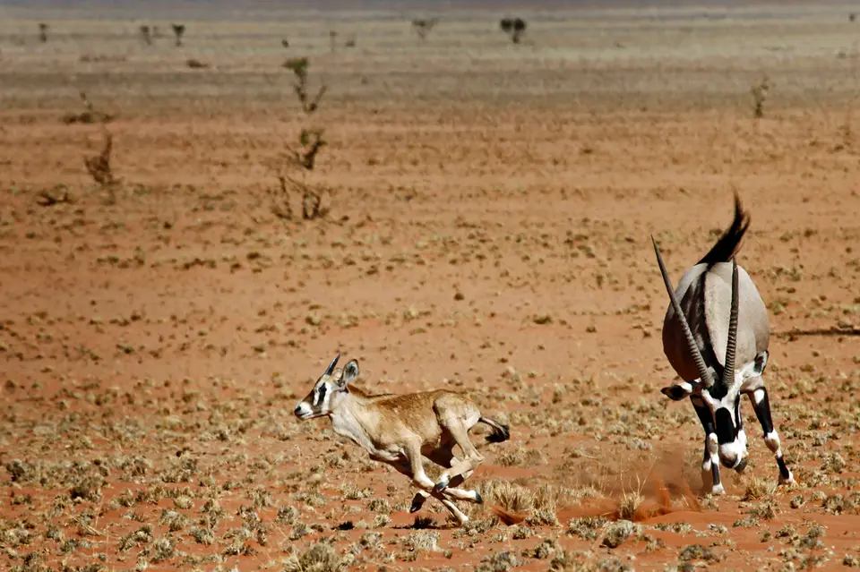 Namibia_10_20150845.jpg