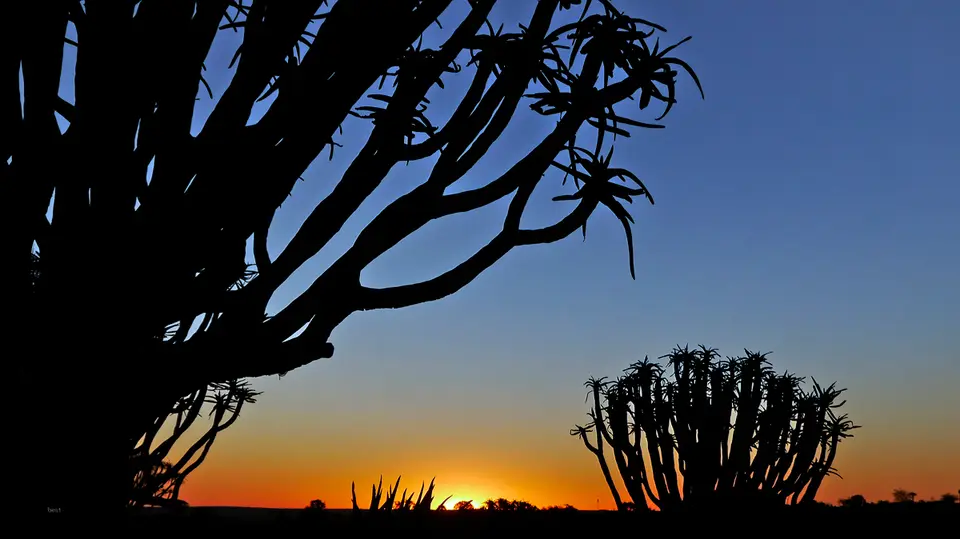 Namibia_10_2015_1001-2.jpg