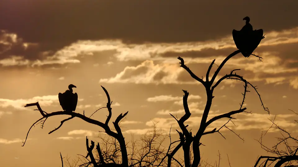 Namibia_10_2015_1002-2.jpg