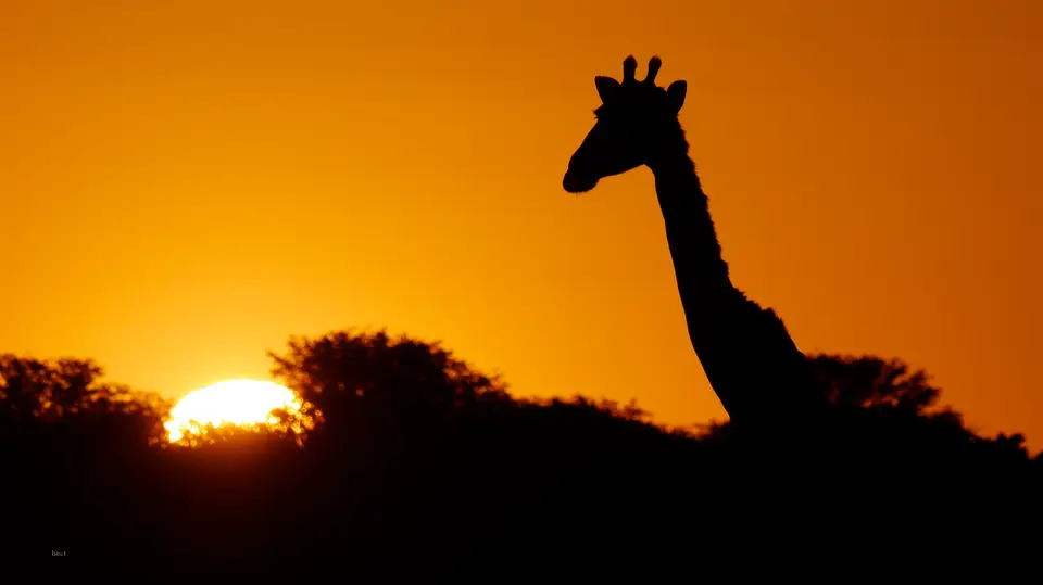 Namibia_10_2015_1003.jpg