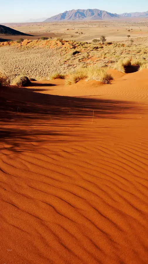Namibia_10_2015_1012.jpg