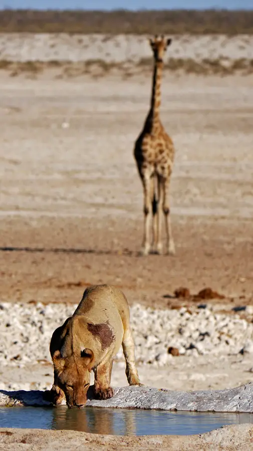 Namibia_10_2015_1021.jpg