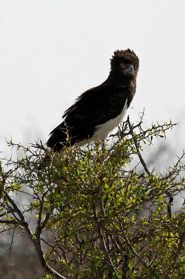 Namibia_10_2015_1038.jpg