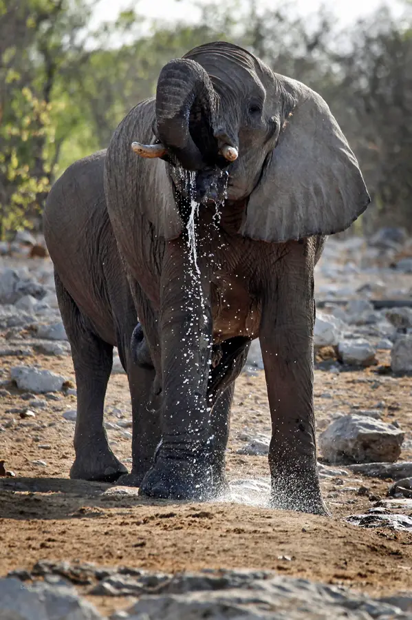 Namibia_10_2015_1040.jpg
