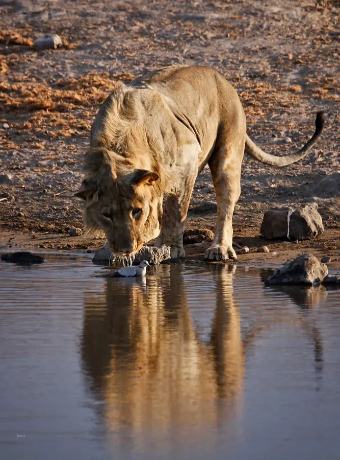 Namibia_10_2015_1041.jpg