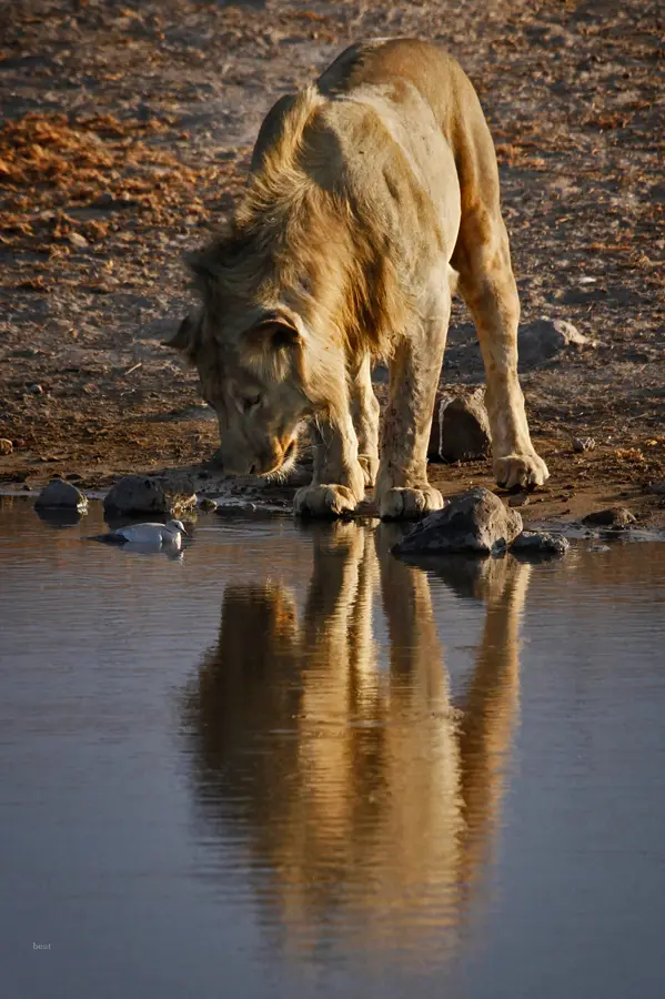 Namibia_10_2015_1042.jpg