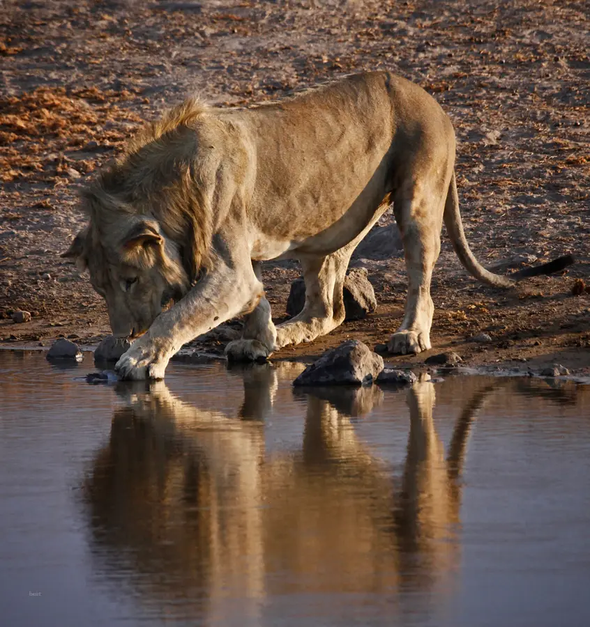 Namibia_10_2015_1043.jpg