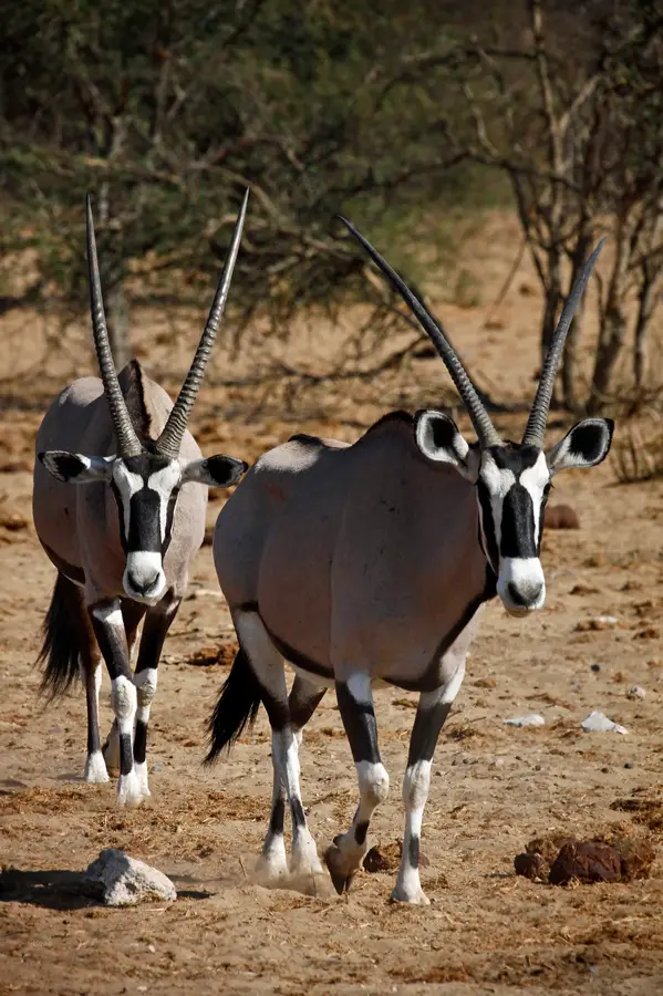 Namibia_10_2015_1049.jpg