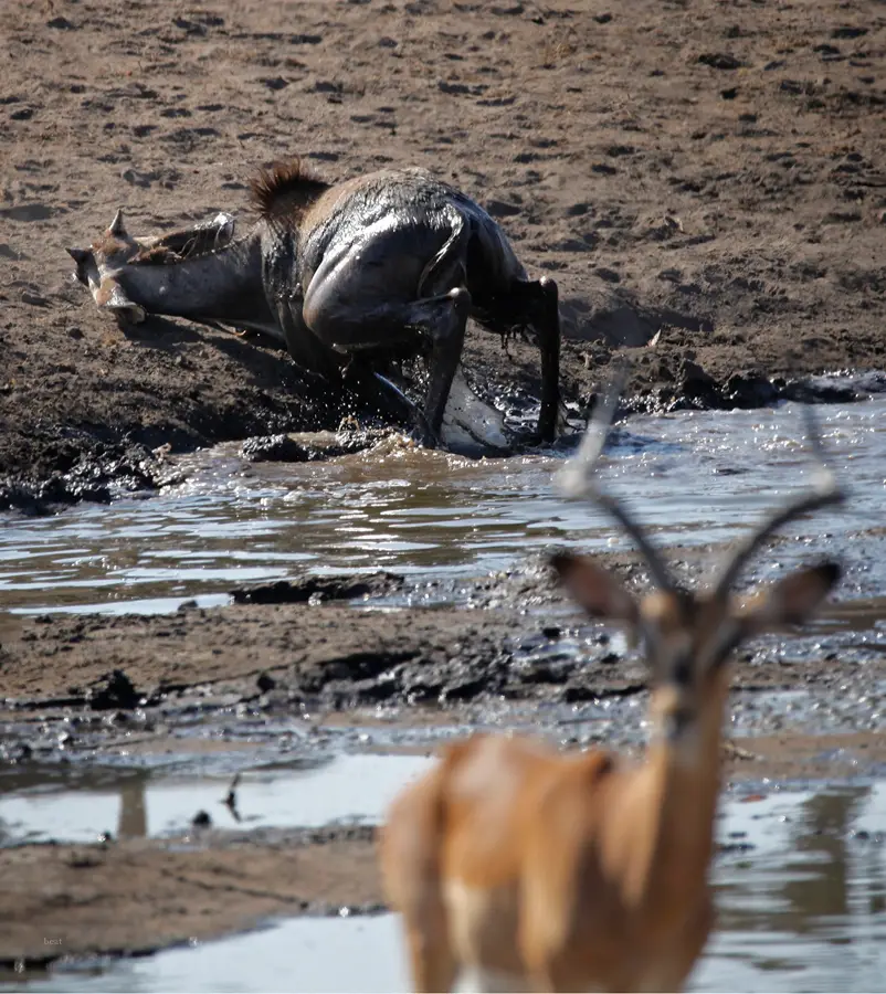 Namibia_10_2015_1050.jpg