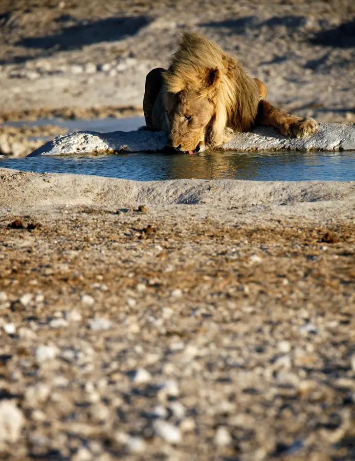 Namibia_10_2015_1055.jpg