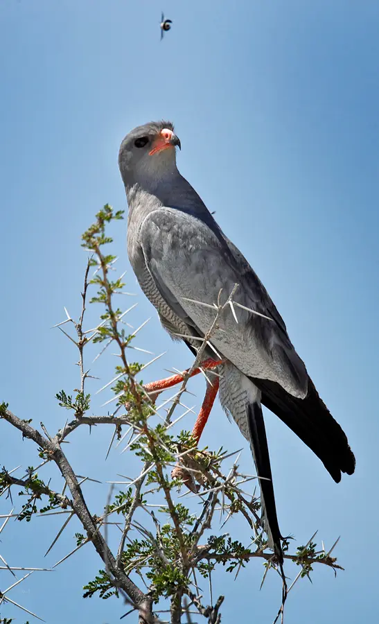 Namibia_10_2015_1058.jpg