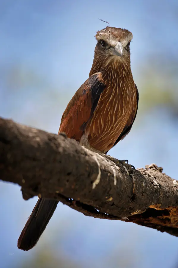 Namibia_10_2015_1060.jpg