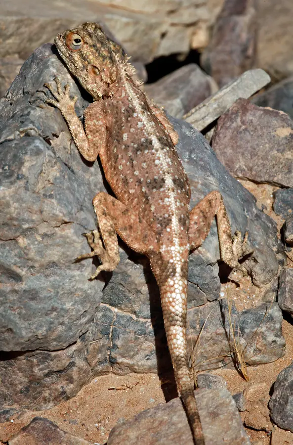 Namibia_10_2015_1079.jpg