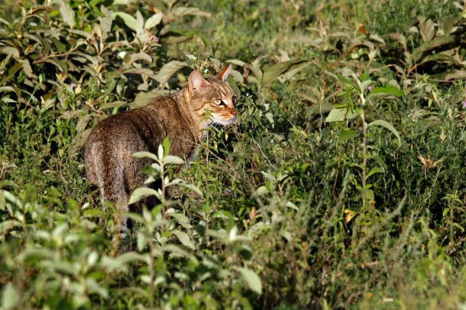 h918ccf9.jpg
