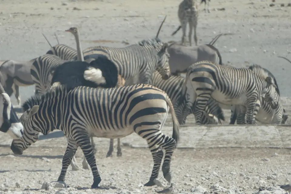 P1010150.JPG