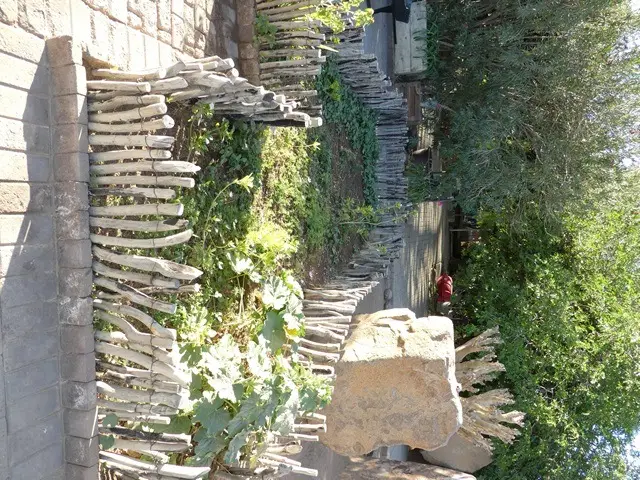 P1010664.jpg