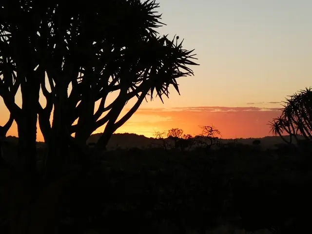 P1020100.jpg