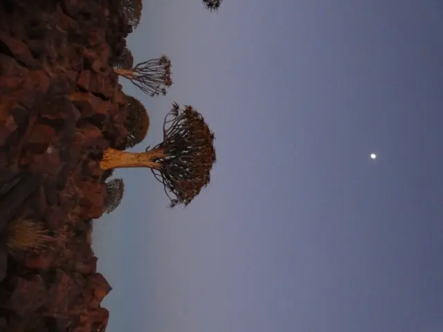 P1020183.jpg