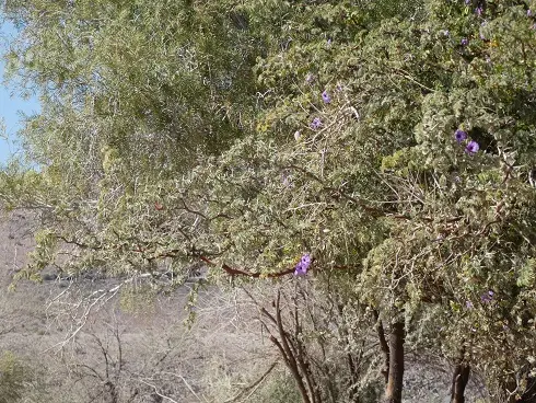 P1020787.JPG