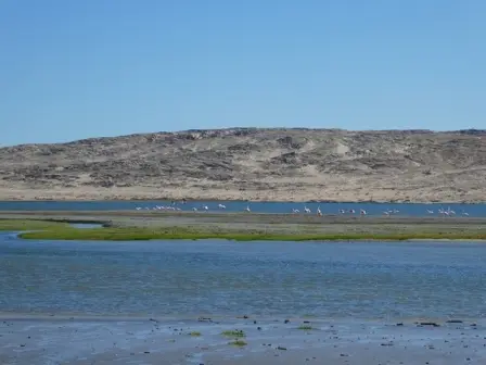 P1030166.jpg