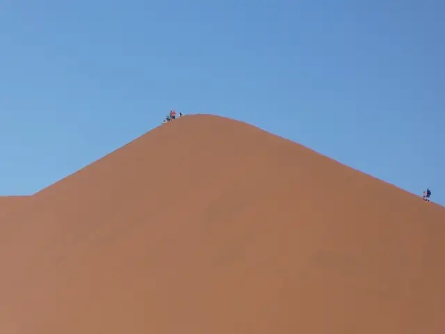 P1030642.jpg