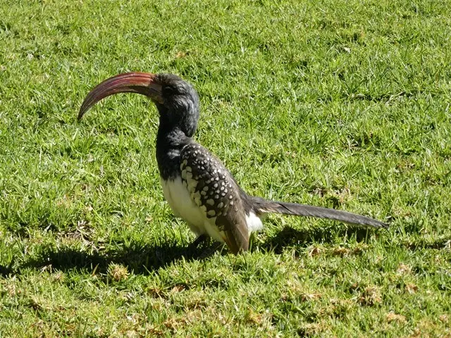 P1050044.jpg