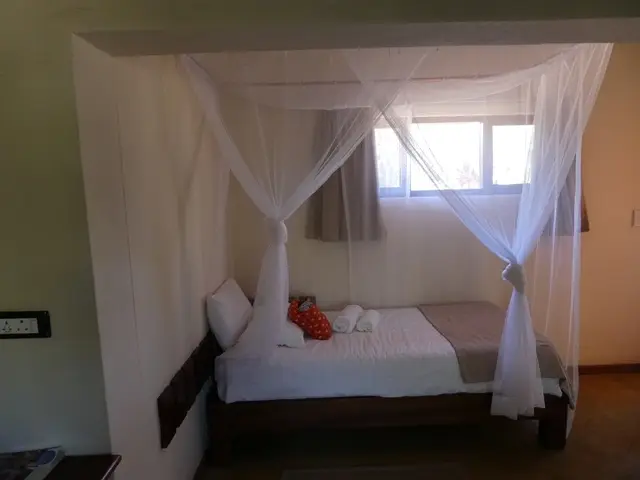 P1050193.jpg