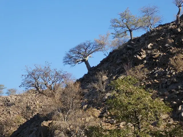 P1050435.jpg