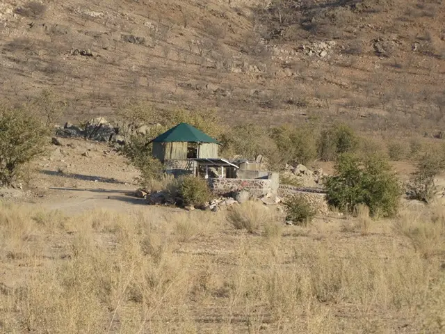 P1050564.jpg