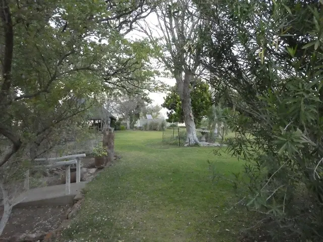 P1050810.jpg